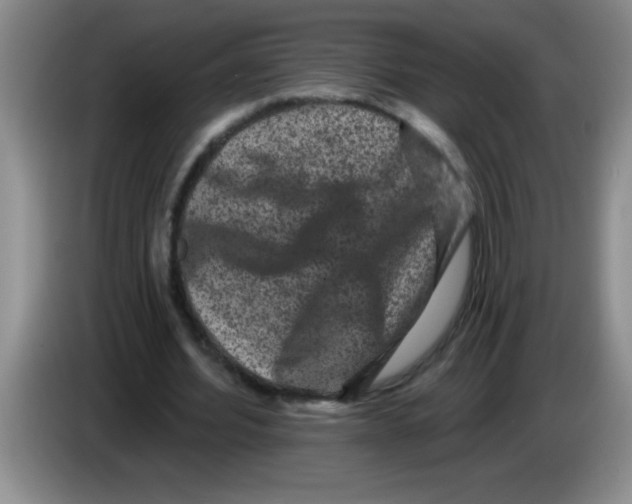X0000083570580200703091639