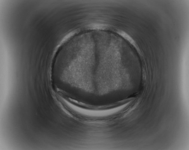 X0000083570581200703091639