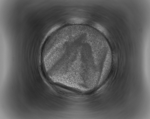 X0000083570582200703091639