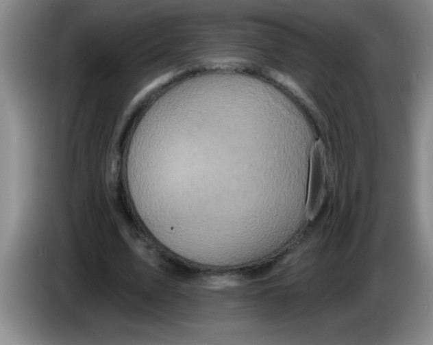 X0000083570583200703091639