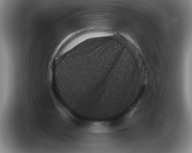 X0000083570584200703091639