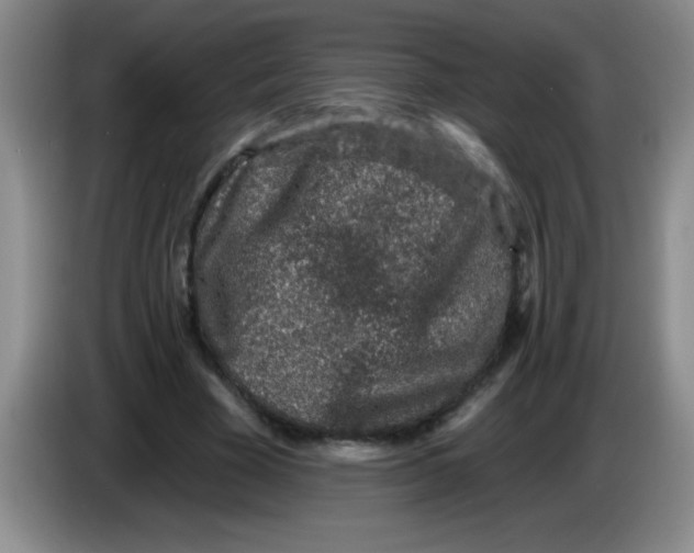 X0000083570585200703091639