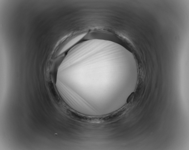 X0000083570587200703091639