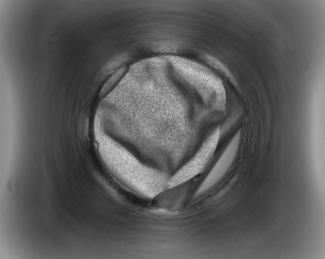 X0000083570589200703091639