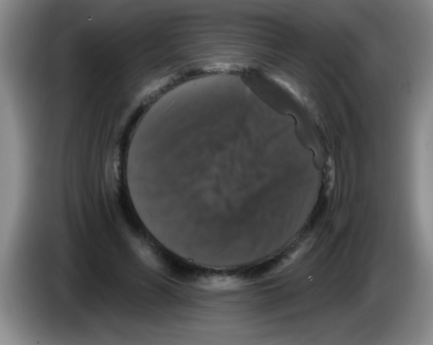 X0000083570590200703091639