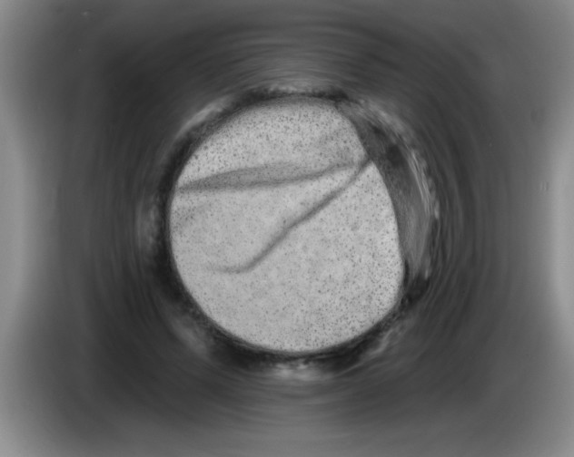 X0000083570591200703091639