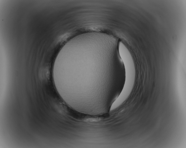 X0000083570595200703091639