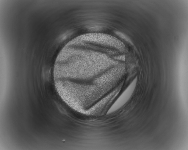 X0000083570596200703091639