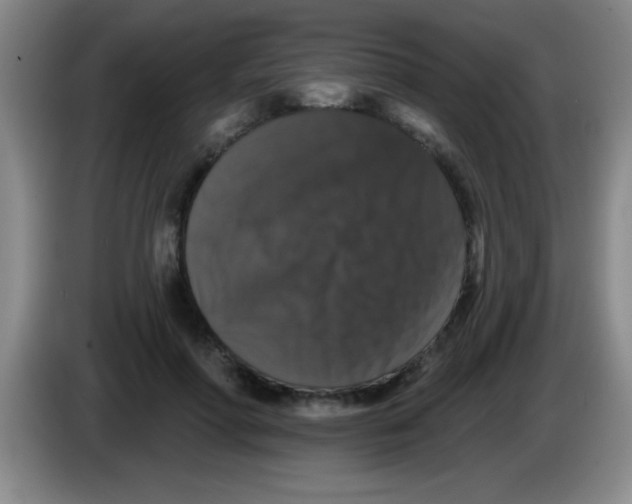 X0000083570598200703091639