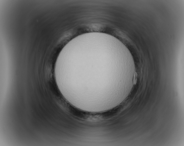 X0000083570599200703091639