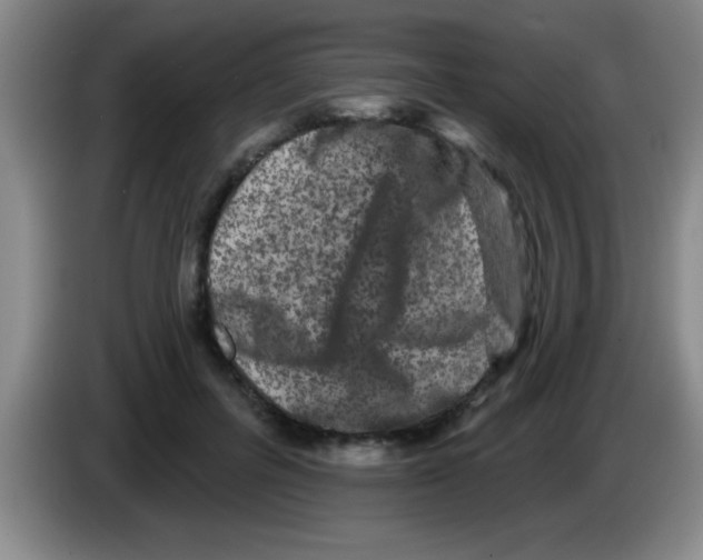 X0000083570600200703091639