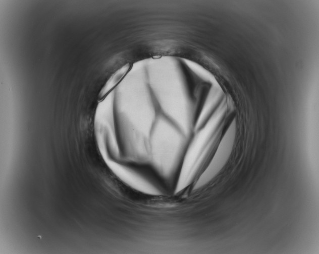 X0000083570601200703091639