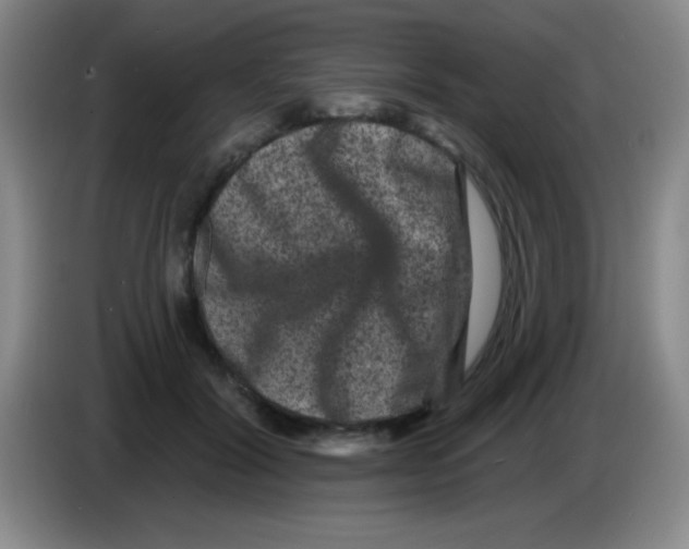 X0000083570604200703091639