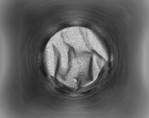 X0000083570605200703091639