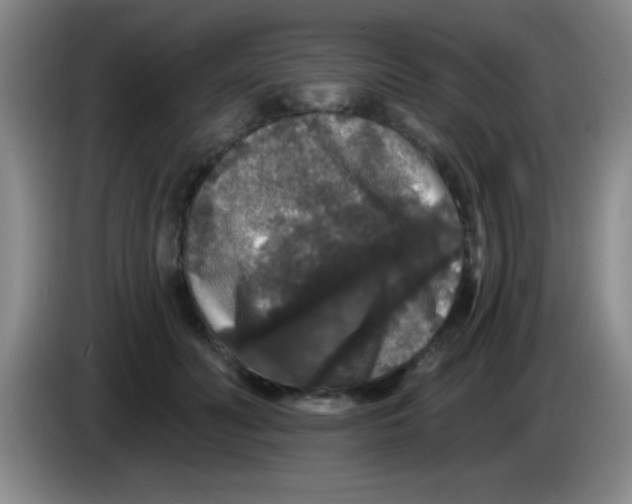 X0000083570606200703091639