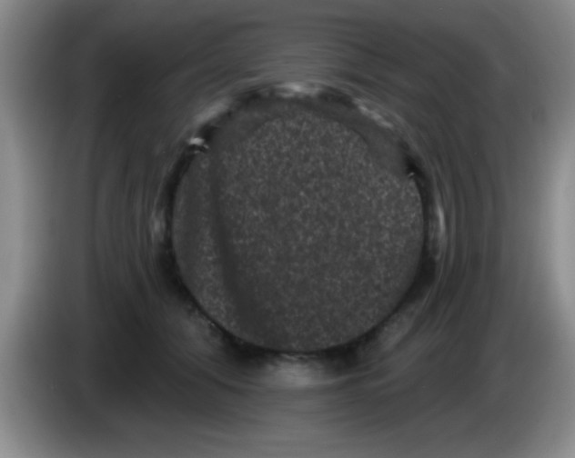 X0000083570608200703091639