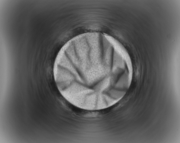 X0000083570609200703091639