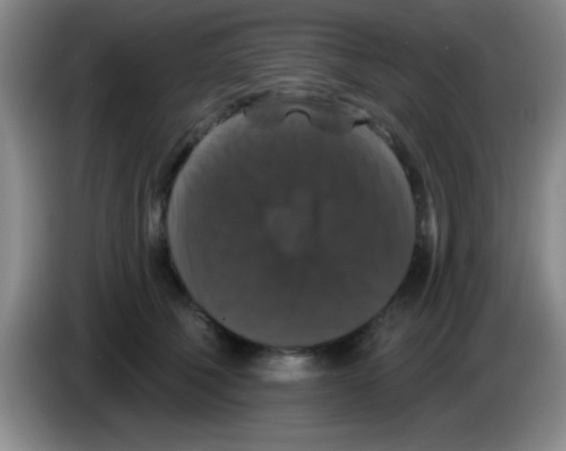 X0000083570610200703091639