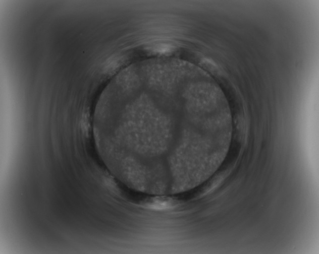 X0000083570612200703091639