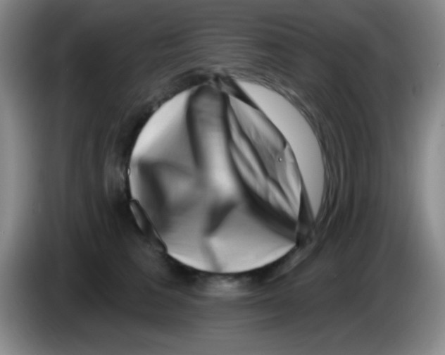 X0000083570613200703091639