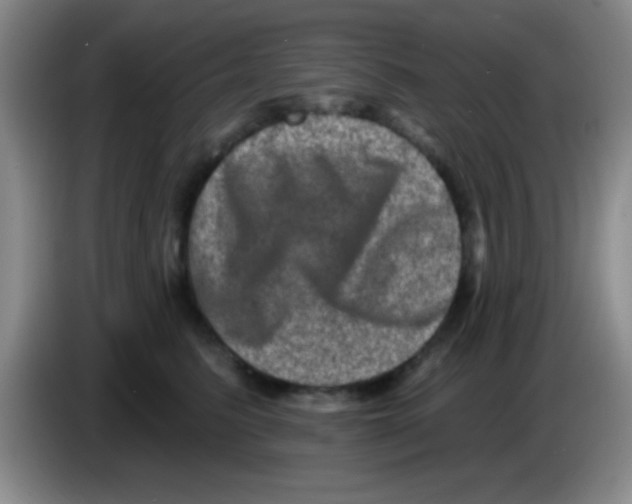 X0000083570615200703091639