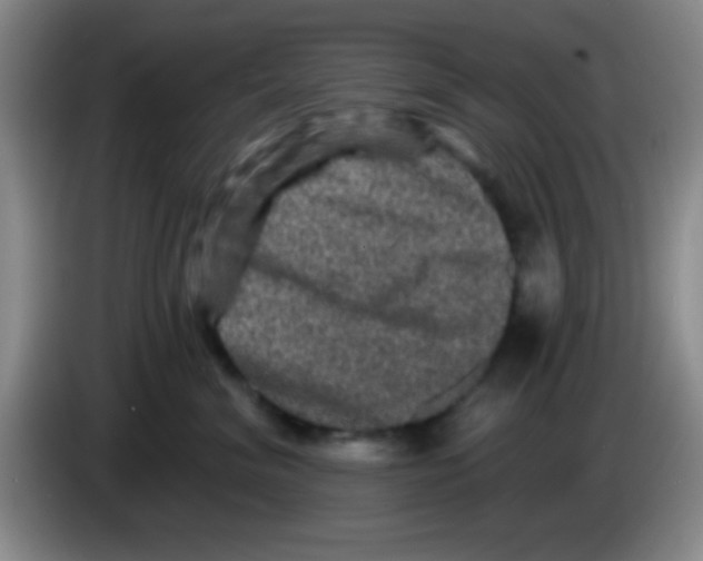 X0000083570620200703091639