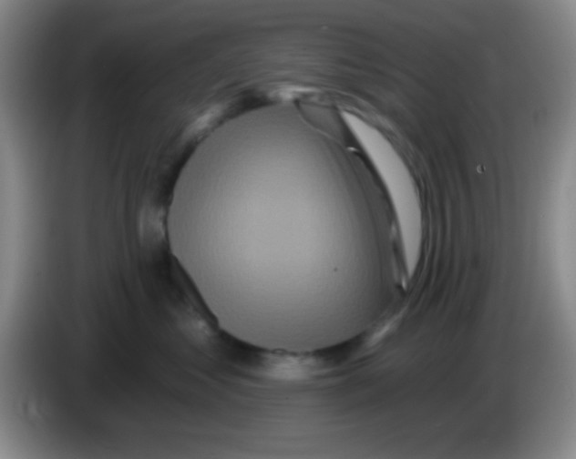 X0000083570621200703091639