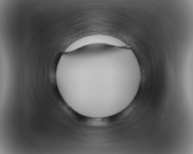 X0000083570622200703091639