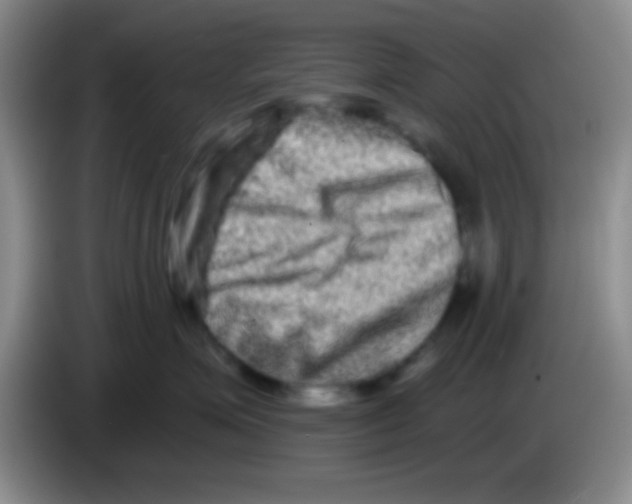 X0000083570623200703091639