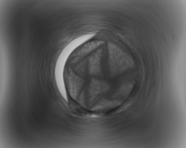 X0000083570624200703091639
