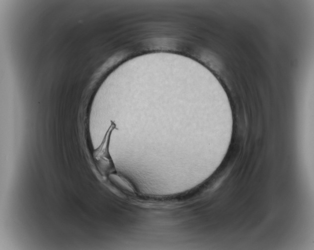 X0000083570625200703091638