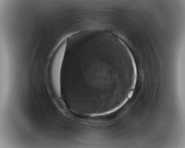X0000083570626200703091638