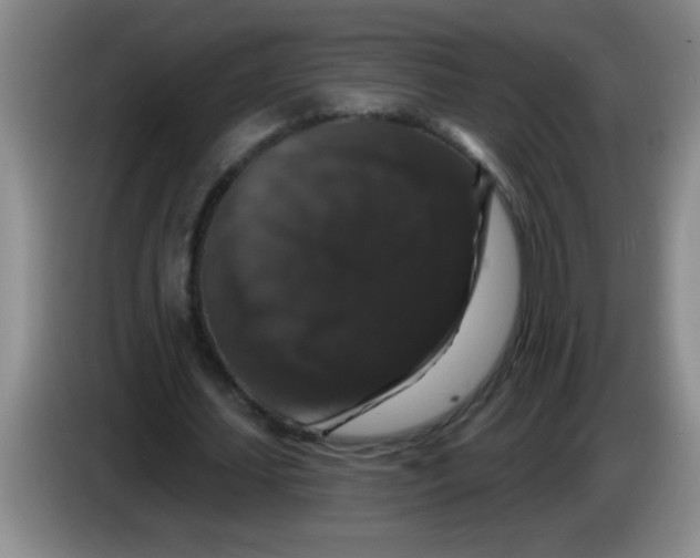 X0000083570627200703091638