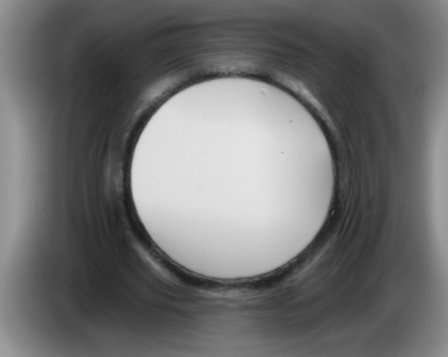 X0000083570629200703091638