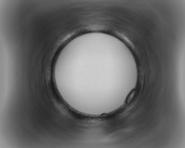 X0000083570631200703091638
