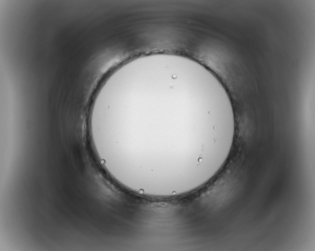 X0000083570632200703091638