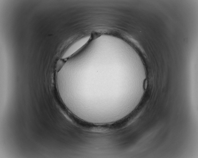 X0000083570633200703091638