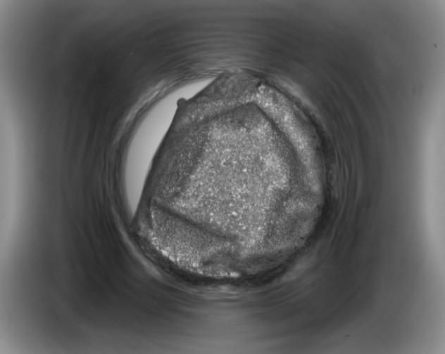 X0000083570634200703091638