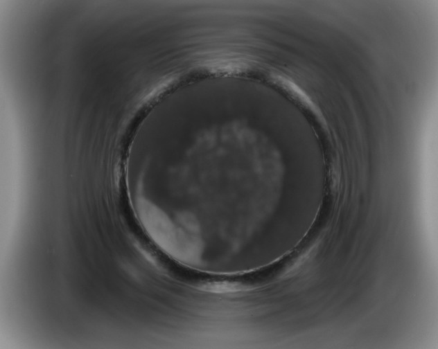 X0000083570637200703091638