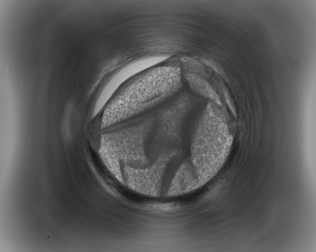 X0000083570638200703091638