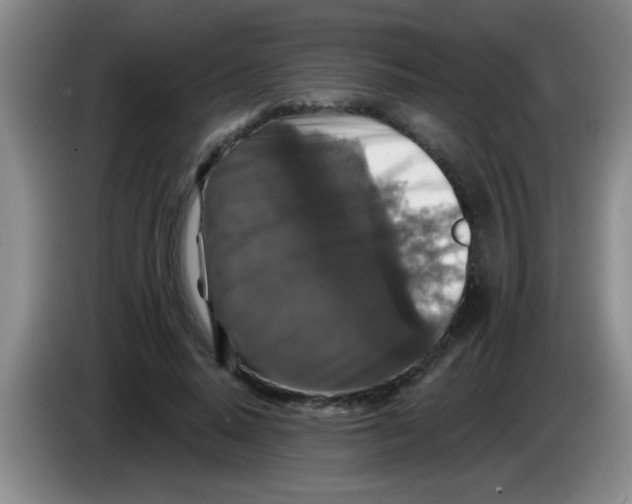 X0000083570640200703091638