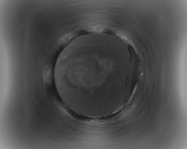 X0000083570641200703091638