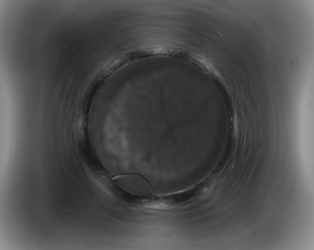 X0000083570643200703091638