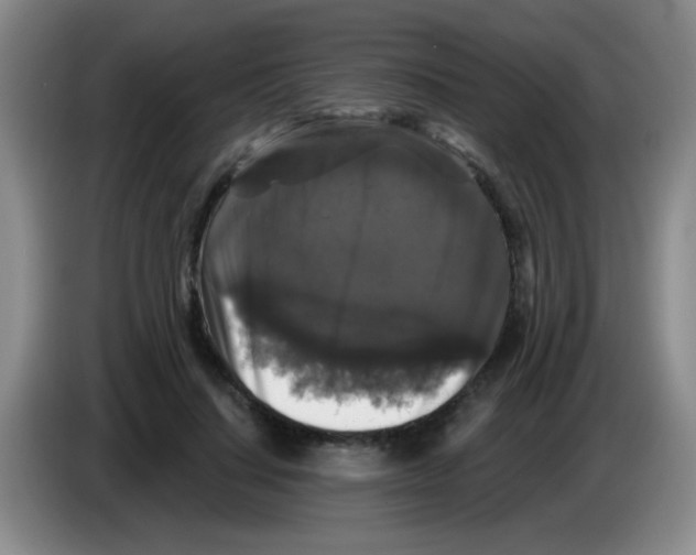 X0000083570644200703091638