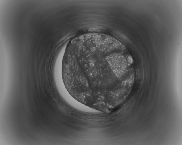 X0000083570648200703091638
