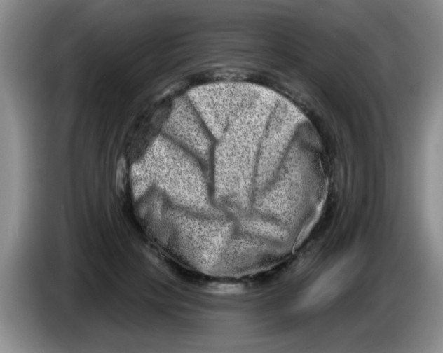 X0000083570649200703091638