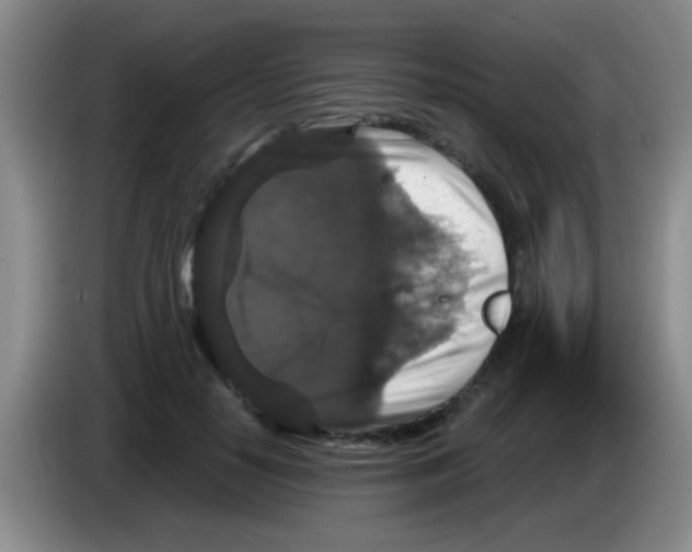 X0000083570650200703091638