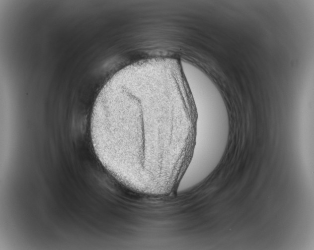 X0000083570652200703091638