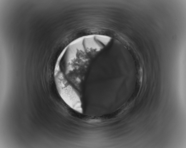 X0000083570653200703091638
