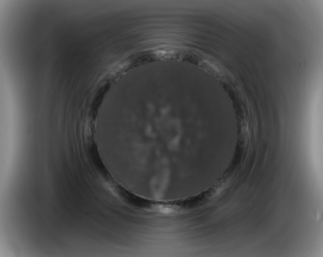 X0000083570654200703091638